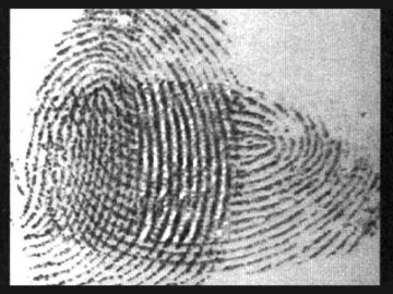 Fingerprint