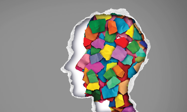 Diversity silhouette