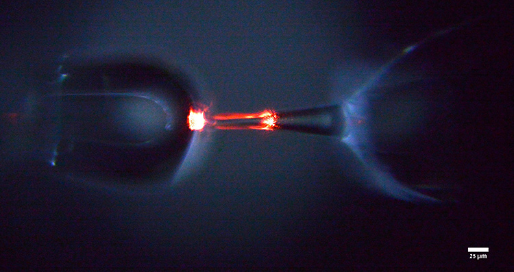 Top view of a soft-glass fiber preform while it is inside the furnace of a brand new 6-meter fiber fabrication draw tower facility (at DTU Fotonik)