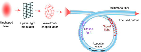 A narrowband laser beam shaped by a spatial light modulator excites many modes in a multimode fiber. A narrowband laser beam shaped by a spatial light modulator excites many modes in a multimode fiber.