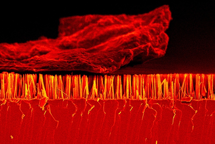 This image shows a number of optical phenomena, starting with a green laser (532-nm Nd:YAG) guided by a multimode silica optical fiber to a vial containing an organic dye